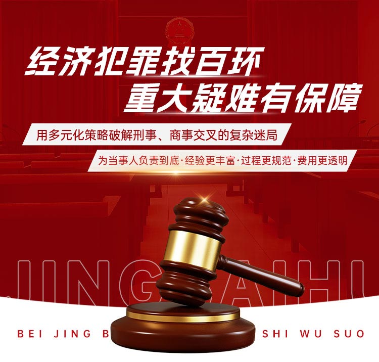 经济犯罪找百环，重大疑难有保障。用多元化策略破解刑事、商商事交叉的复杂迷局