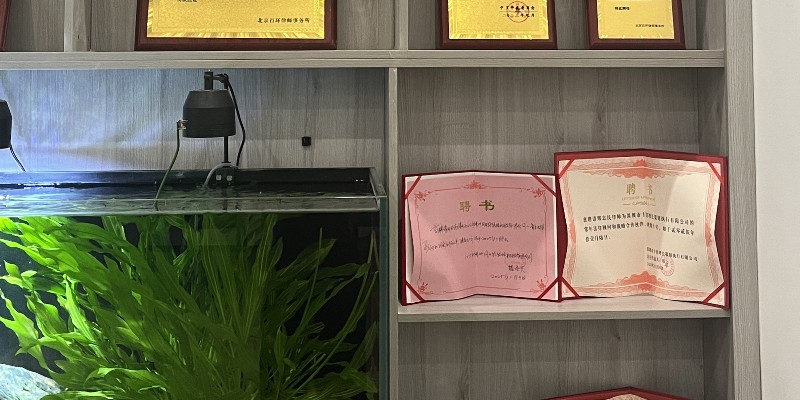 人保原副总裁于泽受贿被公诉2026评析_数额特别巨大的量刑与辩护空间
