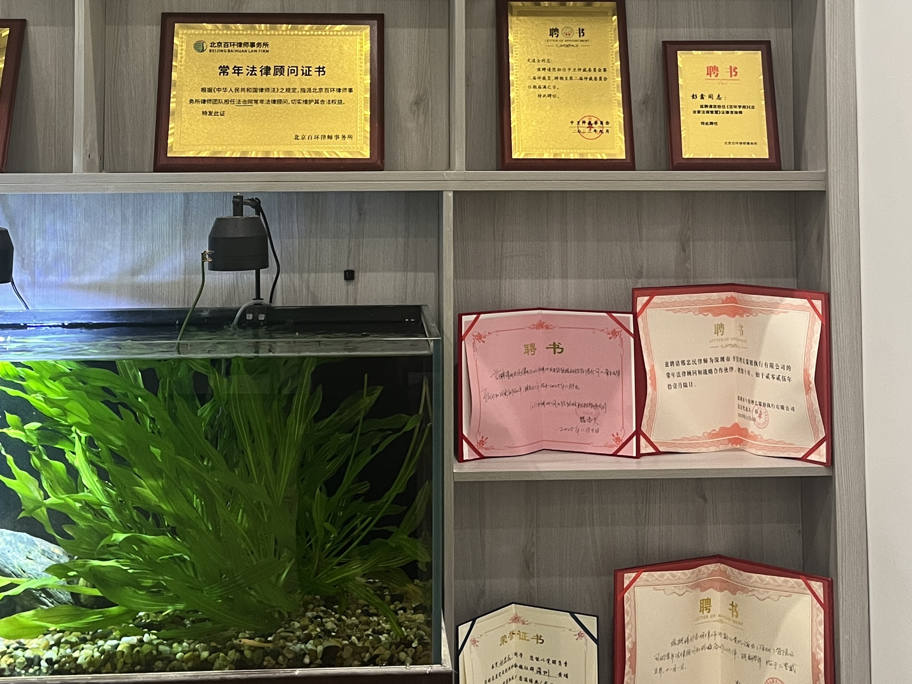 上市公司财务造假退市新规2026解读_卓然股份案与欺诈发行证券罪的追责边界